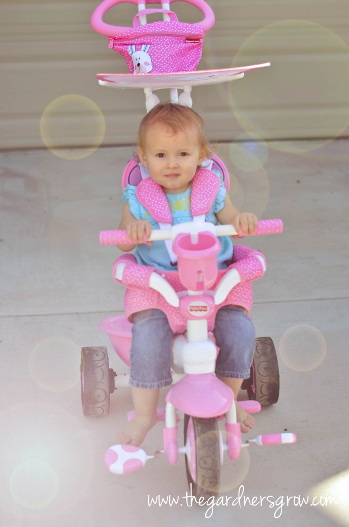 Fisher Price Bike